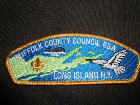Suffolk County Council s1d  csp