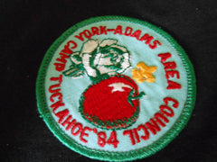 Camp Tuckahoe 1984 Pocket Patch