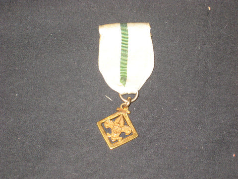 Den Leader Training Award Medal,  gold fdl