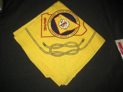 Bashore Scout Reservation Yellow Neckerchief