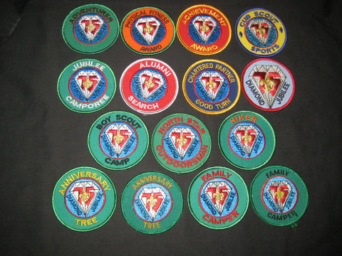 1985 BSA 75th Anniversary Lot of 15 Patches