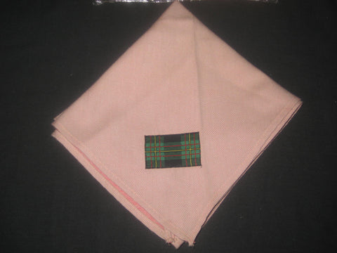 Wood Badge Tan Neckerchief, worn