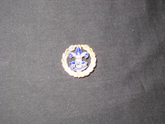 District Commissioner Collar Brass Pin, hooked clasp