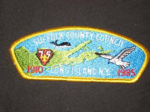 Suffolk County Council sa2 CSP