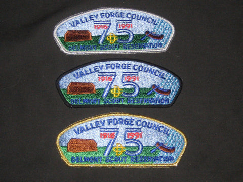 Valley Forge Council Delmont Scout Reservation 75th Anniversary CSPs