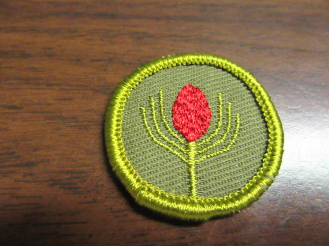 Forestry Twill Merit Badge