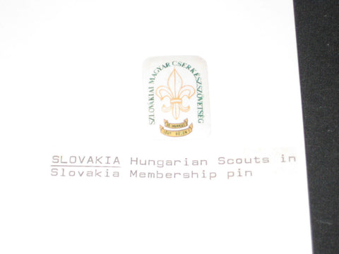 Hungarian Boy Scouts in Slovakia Pin