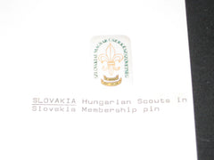 Hungarian Boy Scouts - the carolina trader