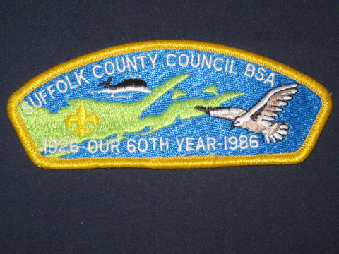 Suffolk County Council SA3 CSP