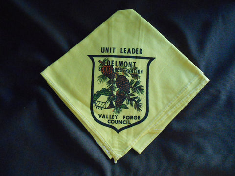Delmont Scout Reservation Unit Leader Valley Forge Council Neckerchief