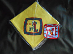 Valley Forge Council 1971 Camps Neckerchief & Patch - the carolina trader