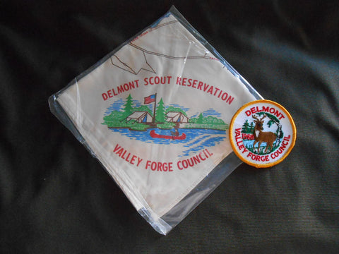 Delmont Scout Reservation Valley Forge Cnl Neckerchief & Patch
