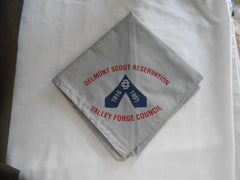 Delmont Scout Reservation Valley Forge Council 75th Neckerchief - the carolina trader