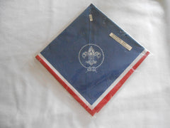 International Youth Participation Neckerchief - the carolina trader