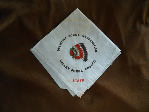 Delmont Scout Reservation Valley Forge Cnl Staff Neckerchief