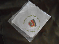 Delmont Scout Reservation Valley Forge Council Neckerchief - the carolina trader
