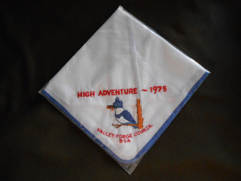 High Adventure 1975 Valley Forge Council Neckerchief