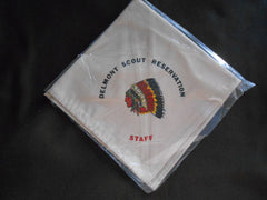 Delmont Scout Reservation Staff - the carolina trader