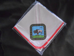 Delmont Scout Reservation Valley Forge Council 1974 Neckerchief - the carolina trader