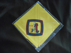 Valley Forge Council BSA 1971 Neckerchief - the carolina trader