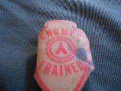 Chomps Trainer neckerchief slide - the carolina trader