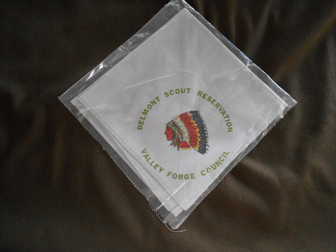 Delmont Scout Reservation Valley Forge Council Neckerchief