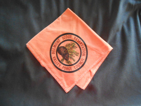 Delmont Scout Reservation Valley Forge Council Neckerchief