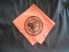 Delmont Scout Reservation Valley Forge Council Neckerchief - the carolina trader