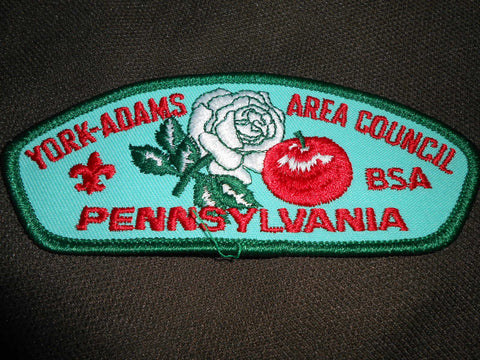 York-Adams A t2 CSP