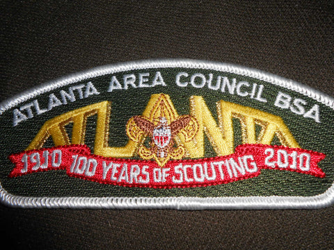 Atlanta Area Council s31  csp