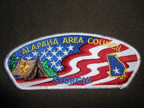 Alapaha Area Council s3  csp