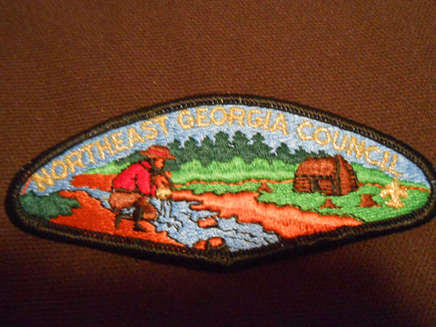 Northeast Georgia Council s2  csp