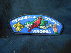 Peninsula Council - the carolina trader
