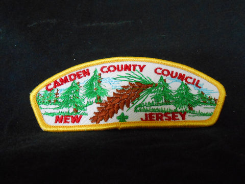 Chester County t2b csp