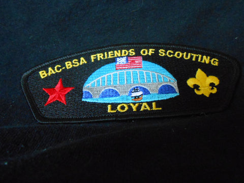 BAC Friends of Scouting SA14 CSP