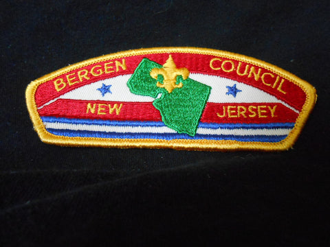 Bergen t1 Council CSP
