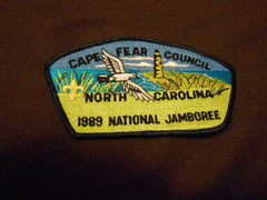 Cape Fear Council 1989 JSP