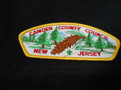 Camden County t2b CSP