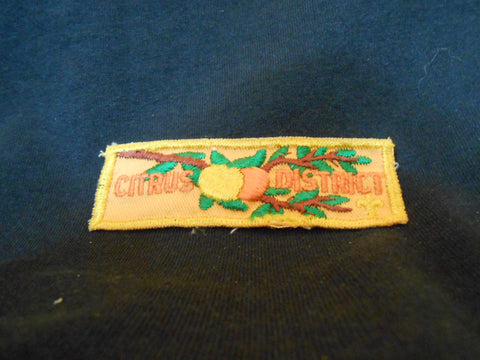 Central Fla. Council  Citrus District pocket patch