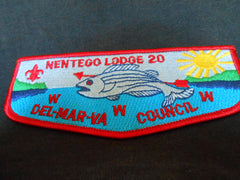 Nentego 20 - the Carolina trader