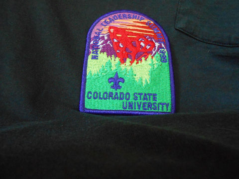 National Leadership Summit 1999 Pocket Patch