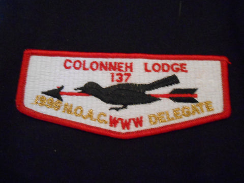 Colonneh 137 s11 Flap