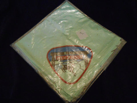 Camp Tuckahoe Neckerchief green, tear drop design, worn