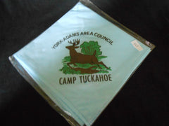 Camp Tuckahoe Neckerchief light blue