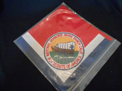 1953 National Jamboree Neckerchief