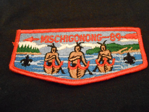 MIchigongong 89 s4b Flap