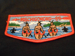 MIchigongong 89 s4b Flap