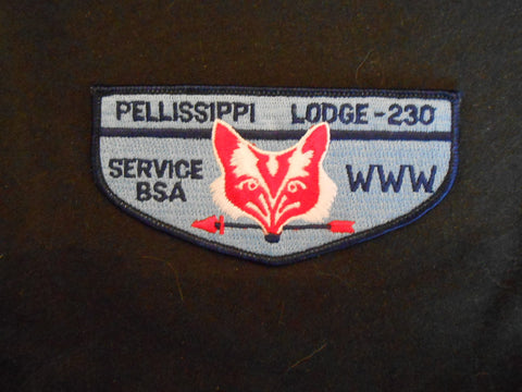 Pellissippi 230 s22 Flap