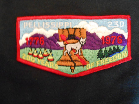 Pellissippi 230 s10 Flap
