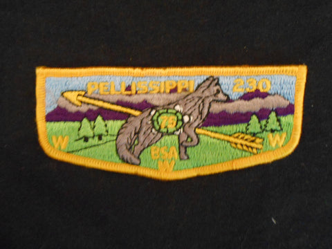 Pellissippi 230 s29 Flap